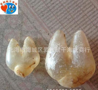 珍品薈萃，健康之源——探索巴巴批發綠色保健系列海味干貨